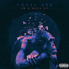 Lời bài hát In A Haze – Total Ape, Iggy Azalea