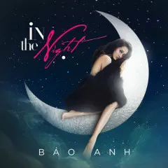 Lời bài hát In The Night – Bảo Anh