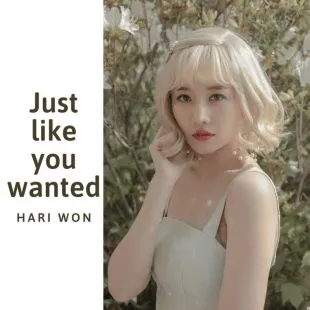 Lời bài hát Just like you wanted - Hari Won | Just like you wanted Lyrics