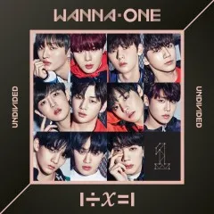 Lời bài hát Kangaroo – Wanna One