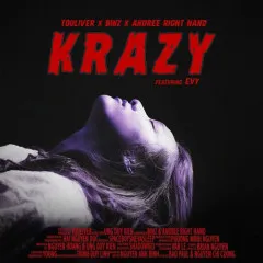 Lời bài hát Krazy – Touliver, Binz, Andree, Evy