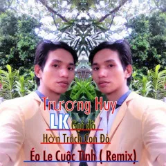 Lời bài hát Liên Khúc Gọi Đò – Hờn Trách Con Đò – Éo Le Cuộc Tình (Remix) – Trương Huy