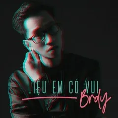 Lời bài hát Liệu Em Có Vui – Brdy