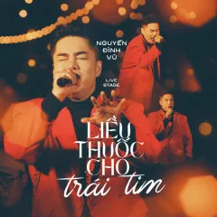 Lời bài hát Liều Thuốc Cho Trái Tim (Live Version) – Nguyễn Đình Vũ