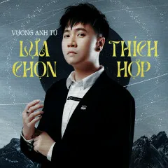 Lời bài hát Lựa Chọn Thích Hợp (Lofi Version) – Vương Anh Tú