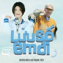 Lời bài hát Lưu Số Em Đi (Đại Mèo Remix) – Huỳnh Văn, Vũ Phụng Tiên