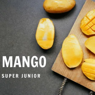 Lời bài hát Mango - Super Junior | Mango Lyrics