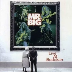 Lời bài hát Medley_ Bass Intro _ Had Enough _ Big Love _ Take A Walk _ Merciless – Mr. Big