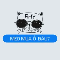 Lời bài hát Mèo Mua Ở Đâu – RHY