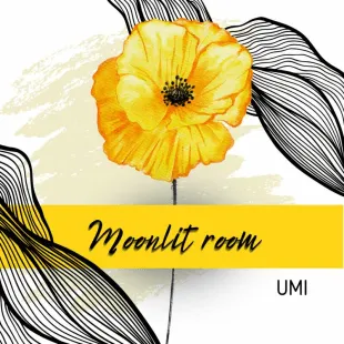 Lời bài hát Moonlit room - UMI | Moonlit room Lyrics