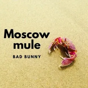 Lời bài hát Moscow mule - Bad Bunny | Moscow mule Lyrics