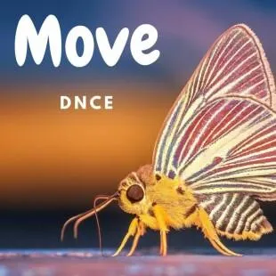 Lời bài hát Move - Dnce | Move Lyrics