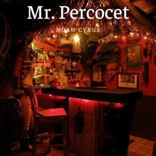 Lời bài hát Mr. Percocet - Noah Cyrus | Mr. Percocet Lyrics