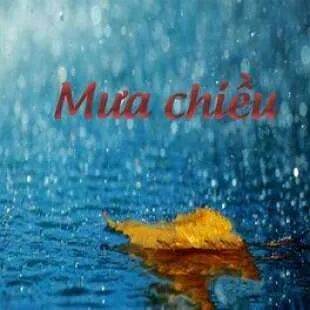 Lời bài hát Mưa chiều - Anh Bằng | Mưa chiều Lyrics