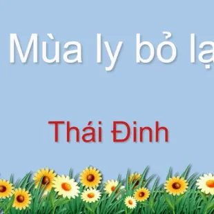 Lời bài hát Mùa ly bỏ lại - Thái Đinh | Mùa ly bỏ lại Lyrics