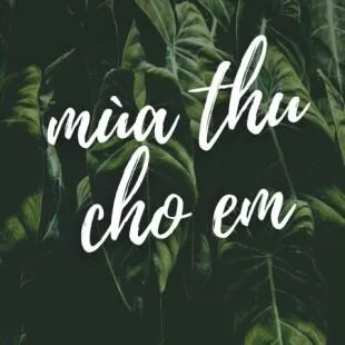 Lời bài hát Mùa thu cho em - Tùng Dương, Ngô Thụy Miên | Mùa thu cho em Lyrics