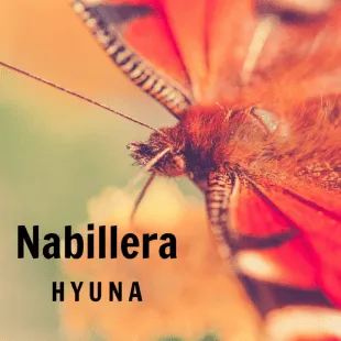 Lời bài hát Nabillera - Hyuna | Nabillera Lyrics