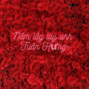 Lời bài hát Nắm lấy tay anh - Tuấn Hưng | Nắm lấy tay anh Lyrics