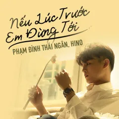 Lời bài hát Nếu Lúc Trước Em Đừng Tới – Phạm Đình Thái Ngân, Hino