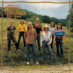 Lời bài hát Never Knew How Much (I Needed You) – The Allman Brothers Band