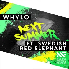 Lời bài hát Next Summer – WHYLO, Swedish Red Elephant