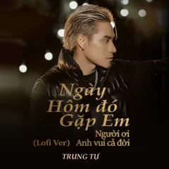 Lời bài hát Ngày Hôm Đó Gặp Em Người Ơi Anh Vui Cả Đời (Lofi Version) – Trung Tự, GAOTHOM