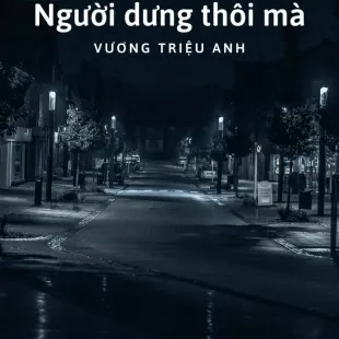 Lời bài hát Người dưng thôi mà - Vương Triệu Anh | Người dưng thôi mà Lyrics