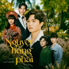 Lời bài hát Nguyệt Hồng Phai – Đỗ Thành Duy, NH4T