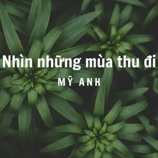 Lời bài hát Nhìn những mùa thu đi - Mỹ Anh | Nhìn những mùa thu đi Lyrics