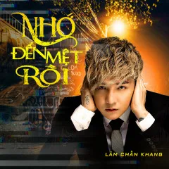 Lời bài hát Nhớ Đến Mệt Rồi – Lâm Chấn Khang