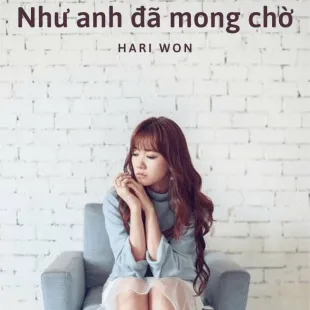 Lời bài hát Như anh đã mong chờ - Hari Won | Như anh đã mong chờ Lyrics