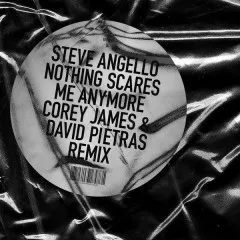 Lời bài hát Nothing Scares Me Anymore (Corey James & David Pietras Remix) – Steve Angello, Sam Martin