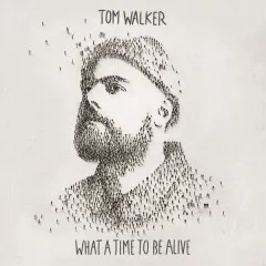 Lời bài hát Now You’re Gone – Tom Walker, Zara Larsson