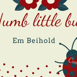 Lời bài hát Numb little bug - Em Beihold | Numb little bug Lyrics