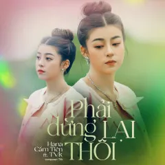 Lời bài hát Phải Dừng Lại Thôi – Hana Cẩm Tiên, TVk