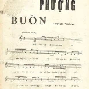 Lời bài hát Phượng buồn - H2K x Sli Petey | Phượng buồn Lyrics