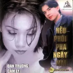 Lời bài hát Phút Đầu Tiên – Đan Trường