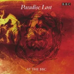 Lời bài hát Pity The Sadness (Rock Show 1992) – Paradise Lost