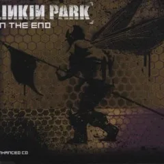 Lời bài hát Points Of Authority (Live At Docklands Arena, London – Linkin Park