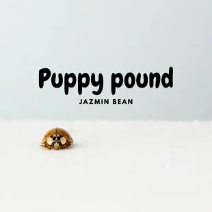 Lời bài hát Puppy pound - Jazmin Bean | Puppy pound Lyrics