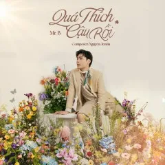 Lời bài hát Quá Thích Cậu Rồi (Remix Version) – Mr. B