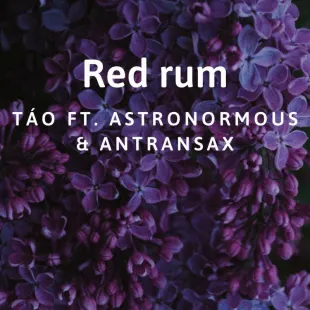 Lời bài hát Red rum - Táo Ft. Astronormous & Antransax | Red rum Lyrics