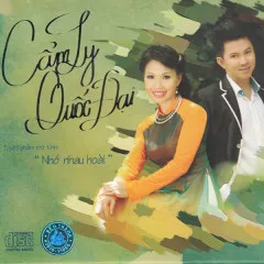 Lời bài hát Sao Chưa Thấy Hồi Âm – Cẩm Ly