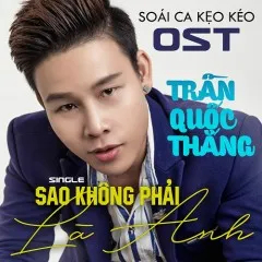 Lời bài hát Sao Không Phải Là Anh – Trần Quốc Thắng