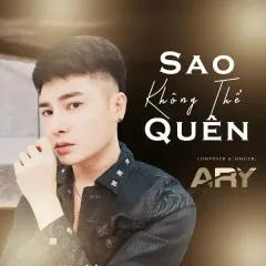 Lời bài hát Sao Không Thể Quên (Pop Version) – Ary