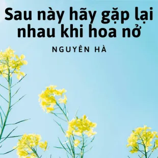 Lời bài hát Sau này hãy gặp lại nhau khi hoa nở - Nguyên Hà | Sau này hãy gặp lại nhau khi hoa nở Lyrics