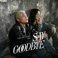 Lời bài hát Say Goodbye – Phạm Việt Thắng, T.R.I