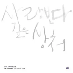 Lời bài hát Scars Deeper Than Love – Yim Jae Bum, TAEYEON