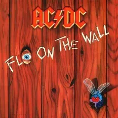 Lời bài hát Shake Your Foundations (Album Version) – AC/DC