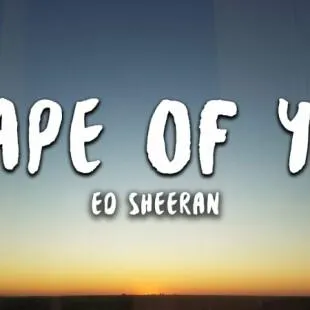 Lời bài hát Shape Of You - Ed Sheeran | Shape Of You Lyrics